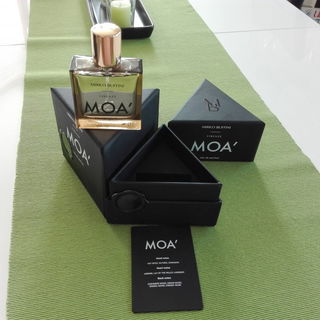 Wild Cherry - Mancera