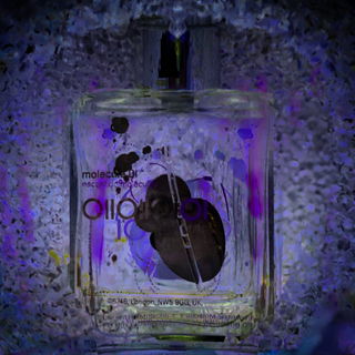 Molecule 01 by Escentric Molecules