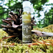 In einem Wald vor unserer Zeit (von Floyd)