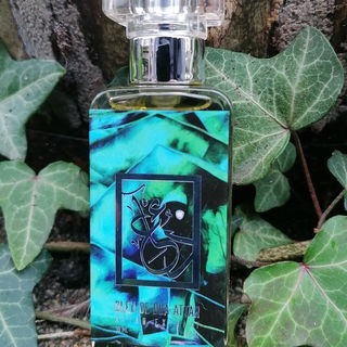 Dark Casino Royale Nights - The Dua Brand