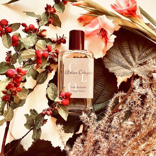 The Impudent Cousin Matthew - Penhaligon's
