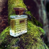 .... der „Mann“ an meiner Seite .... gerne rieche ich ihn ... während seiner frischen warm-würzigen Umarmung .... ;):) (von IrisNobile)