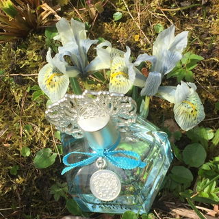 Capri (Eau de Parfum) - Vince Camuto