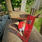 Sohnemanns Nagelbürste und Mama sind auf Fotopirsch gegangen (by Käse)