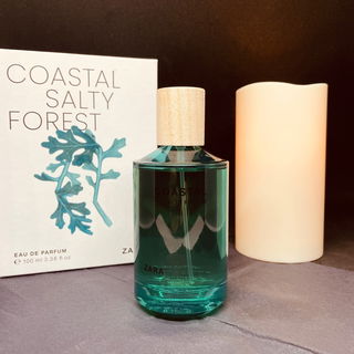 Coastal Salty Forest - Zara