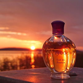 1900 (Eau de Parfum) - MCM