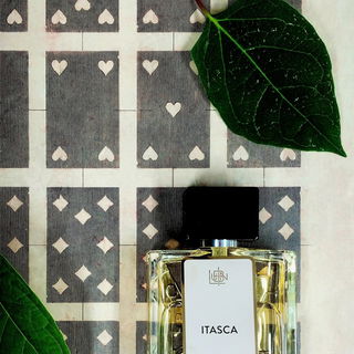 Itasca / Le Vetiver - Itasca - Lubin