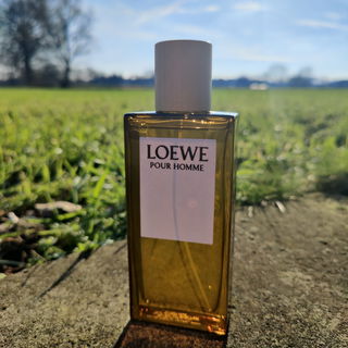 Loewe pour Homme (Eau de Toilette) von Loewe