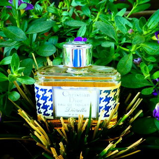 Diorella (Eau de Toilette) von Dior