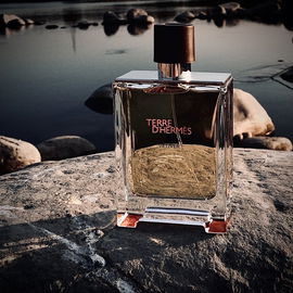 Terre d'Hermès Eau Intense Vétiver - Hermès