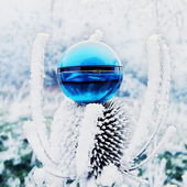 Hit Bleu - Yves Rocher (1990) (von Morpheus1)