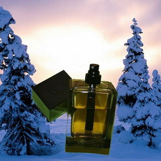Dior Homme Intense (2011) by Dior