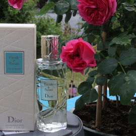 Escale à Parati - Dior