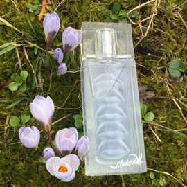 Eau de Rubylips - Salvador Dali