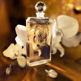 Nocturnes (1981) (Eau de Toilette) - Caron