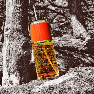 Warme Gewürze vor weichem Holz... auch jetzt noch strahlt der Duft ganz wunderbar 🧡 Danke für's Vorbeischauen 🧡