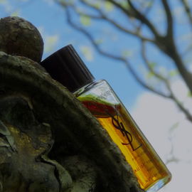 Pour Homme (1971) (Eau de Toilette) - Yves Saint Laurent