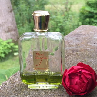 Rosa Centifolia (1910) - J.F. Schwarzlose Berlin