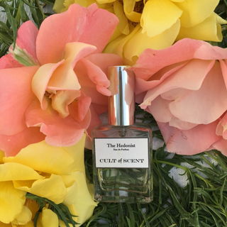 The Hedonist - Cult of Scent