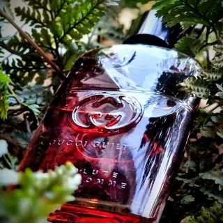 Guilty Absolute pour Homme von Gucci