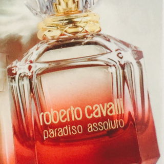 Paradiso Assoluto - Roberto Cavalli