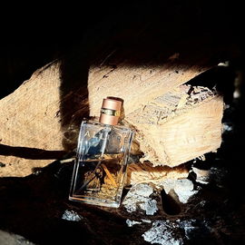 Allure (Eau de Parfum) - Chanel