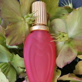 ( Ich fühle mich umarmt ) (von JoliParis)