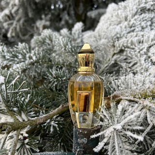 Acqua di Giò Profondo (2024) (Eau de Parfum) - Giorgio Armani