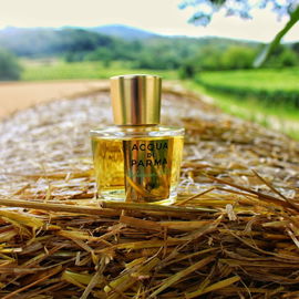 Gelsomino Nobile - Acqua di Parma