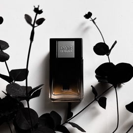 Dior Homme Parfum (2024) - Dior