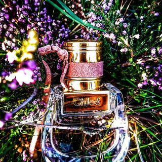 In der Heide.  Maasduinen in meiner Nachbarschaft, NL