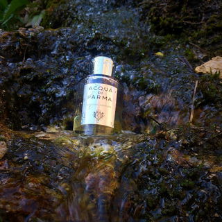 Colonia Assoluta von Acqua di Parma