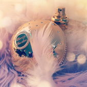 Cherry in the air zu Besuch (von ChatonNoir)