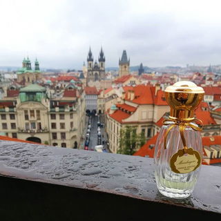 Mandragore - Goutal