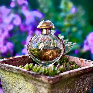 Olympēa (Eau de Parfum) - Rabanne