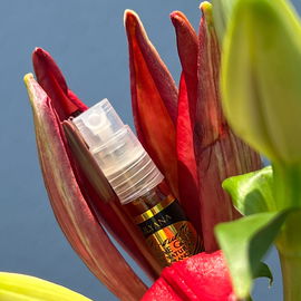 Perfume Gold - Lilyana - Pirouette