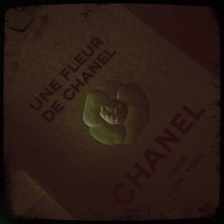 Une Fleur de Chanel - Chanel