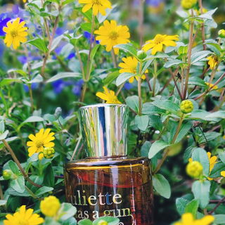 Lust for Sun - Juliette Has A Gun