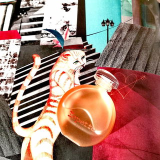 Repetto, Gepetto, Figaro... 😸