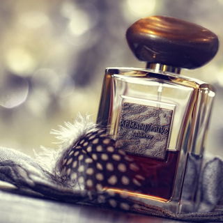 Armani Privé - Sable Or - Giorgio Armani