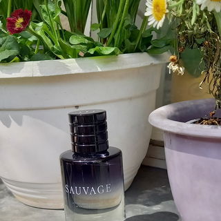 Sauvage (Lotion Après-Rasage) by Dior