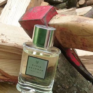 Instinct (Eau de Toilette) - David Beckham
