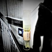 Auf dem Weg nach unten (by Floyd)