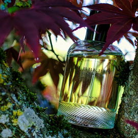 Weekend for Men (Eau de Toilette) - Burberry