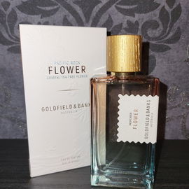 Pacific Rock Flower - Goldfield & Banks