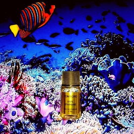 Rive d'Ambre - Tom Ford