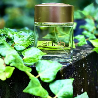 …📷🌍 Thank you. Danke schön. Merci beaucoup. Muchas gracias. Dōmo arigatō gozaimasu 💐…