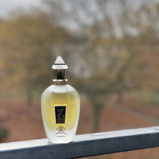 Comandante! - Xerjoff