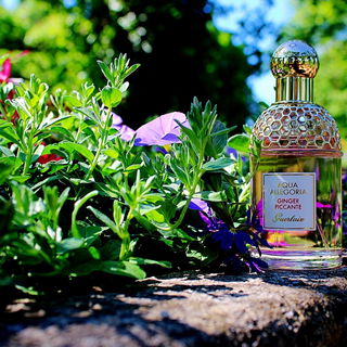 Aqua Allegoria Ginger Piccante - Guerlain