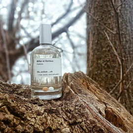 Oh, ooOoh ...oh (mist, wood, wind and guitar) - Miller et Bertaux